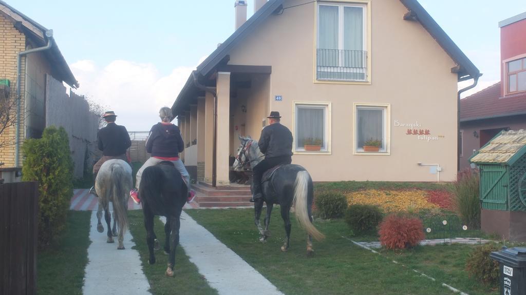 Country House Baranjski Tulipan Draž Extérieur photo